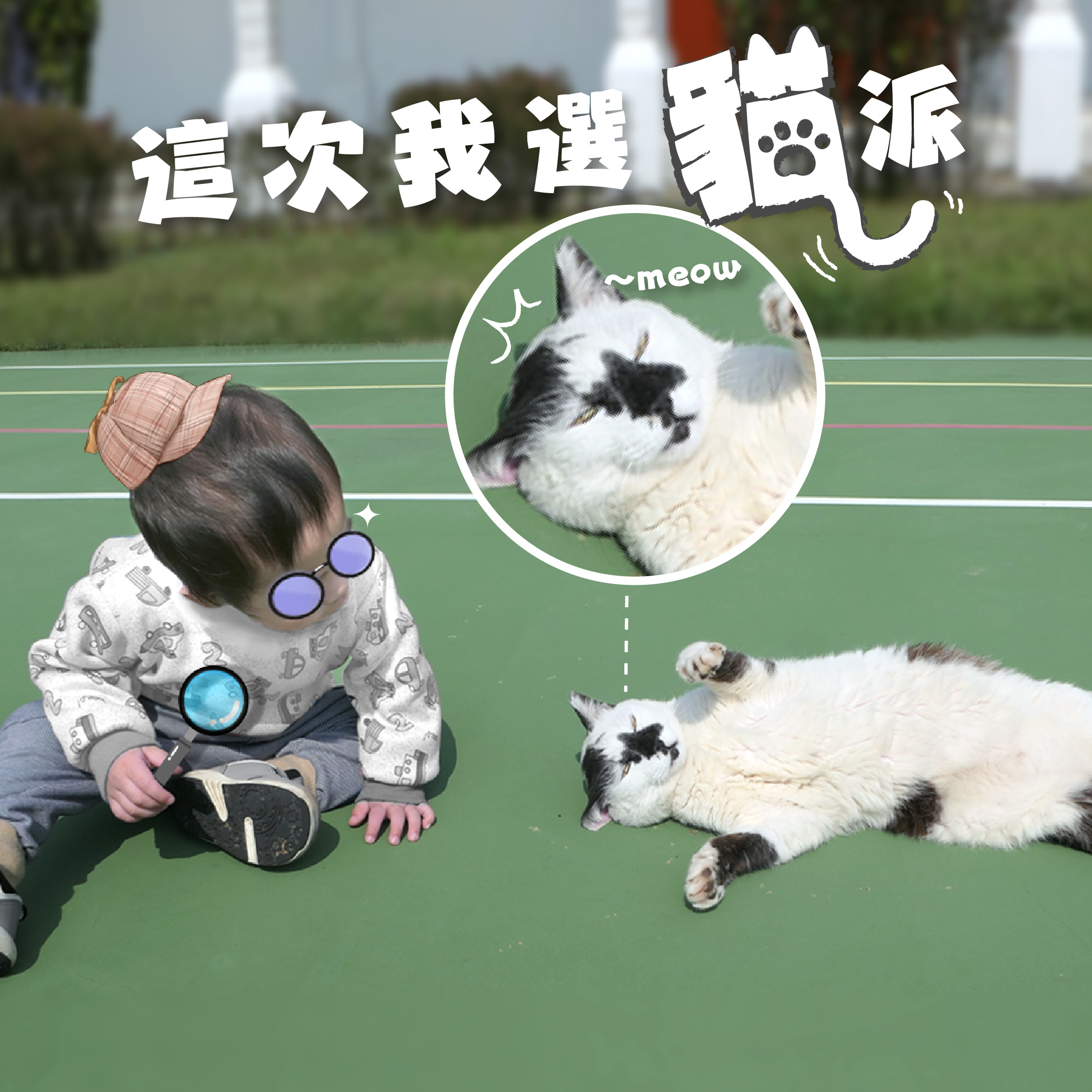 可愛好奇貓派_0
