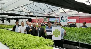 屏東監獄推出水耕蔬菜種植訓練課程