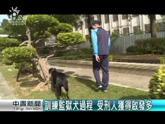 訓練監獄犬過程 受刑人獲得啟發多